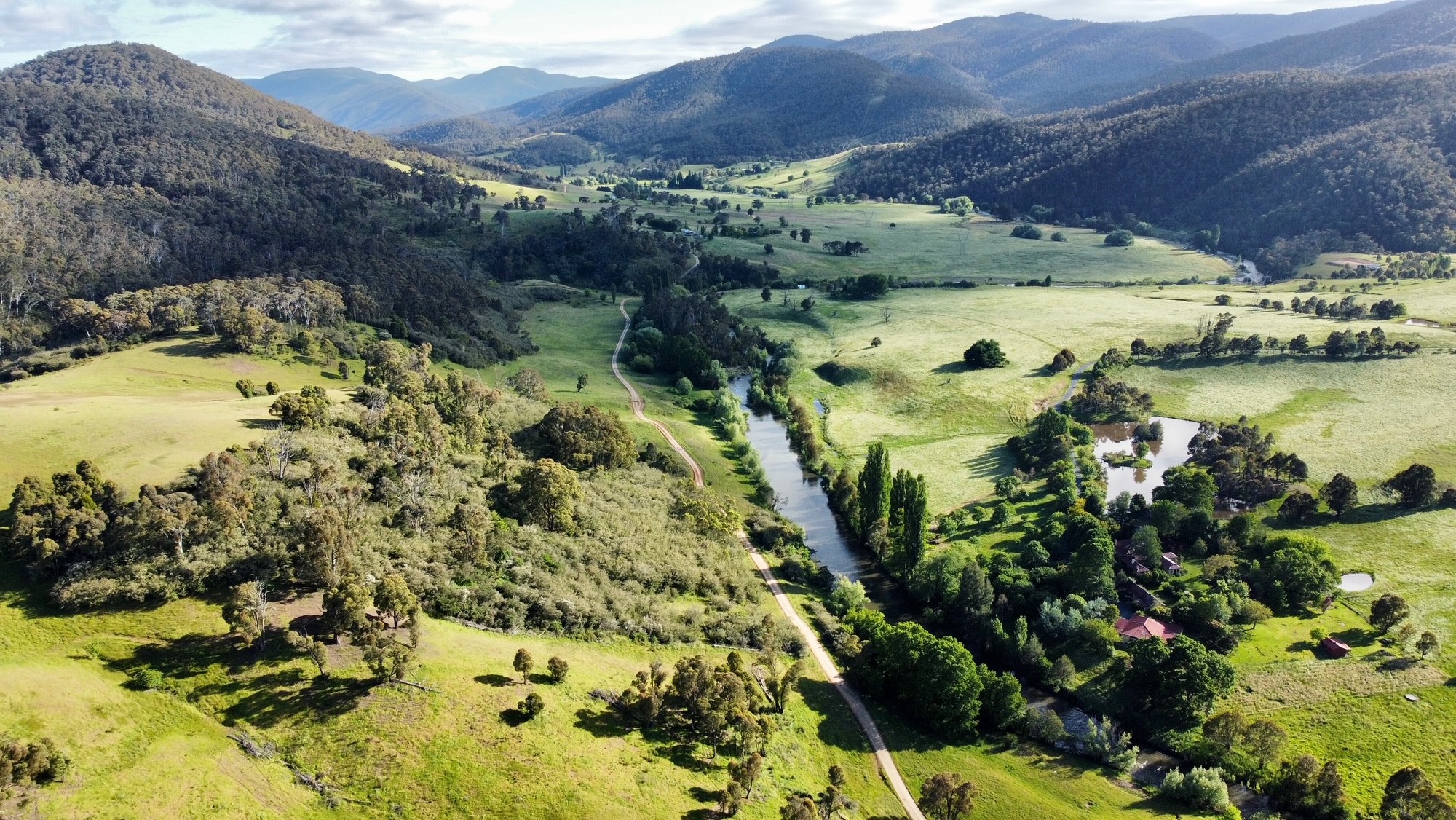 View of the Homestead's backyard